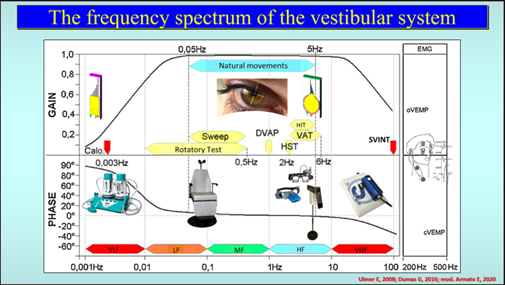 Frequency Spectrum of the Vestibular System